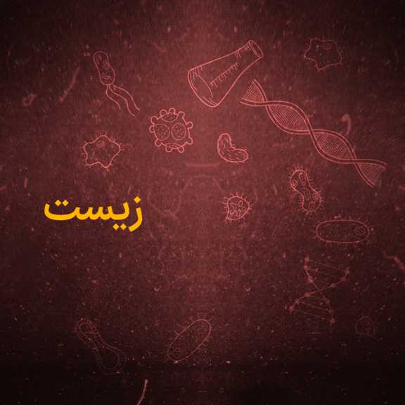 زیست شناسی یازدهم تجربی